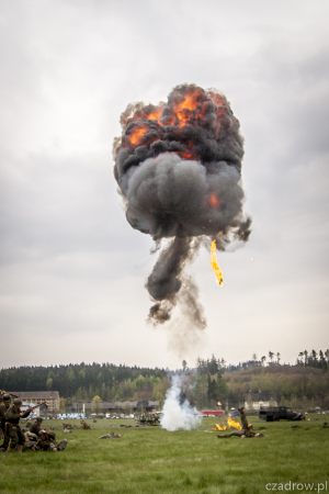77043