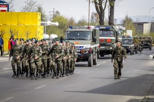 kolumna00041