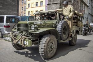 kolumna00121